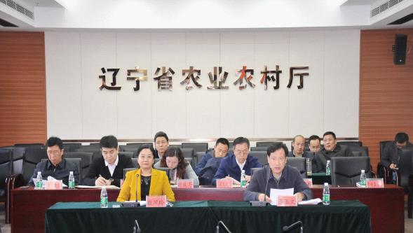 赌网