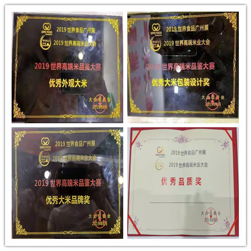 赌网
