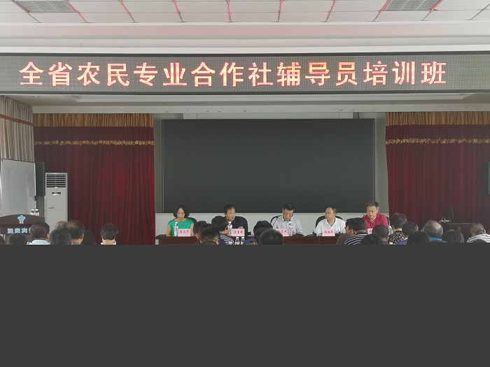 赌网