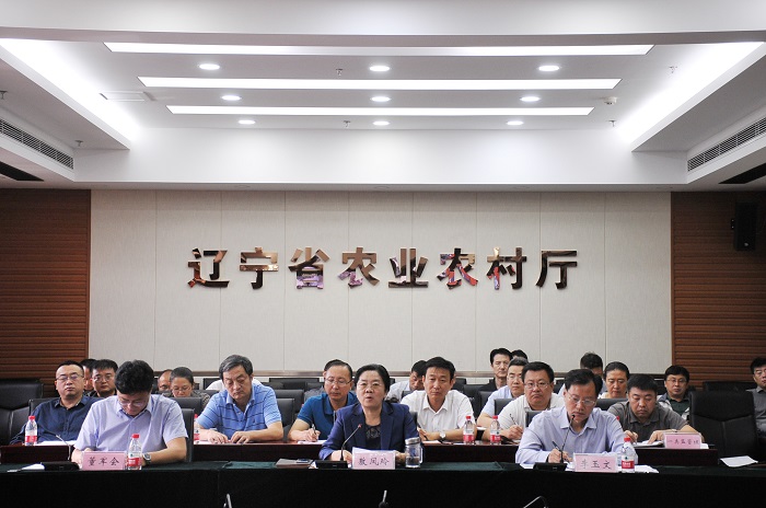 赌网