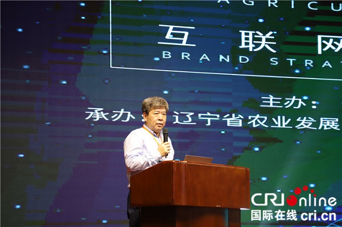赌网