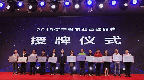 赌网