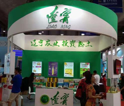 赌网