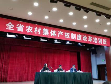 赌网