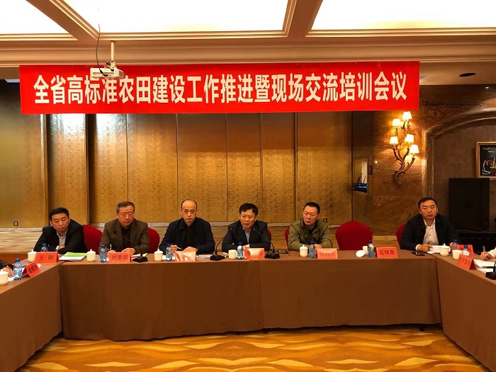 赌网