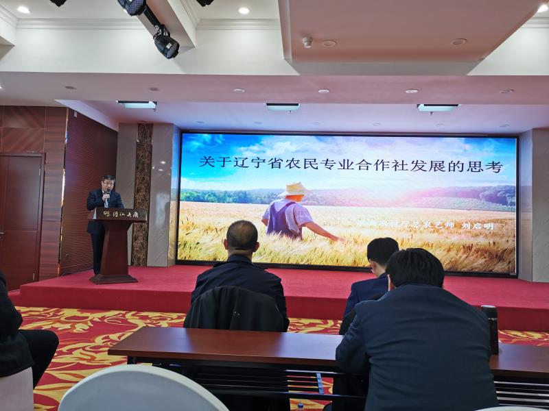 赌网