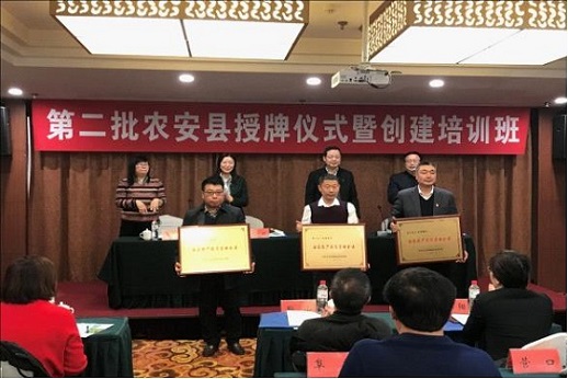 赌网