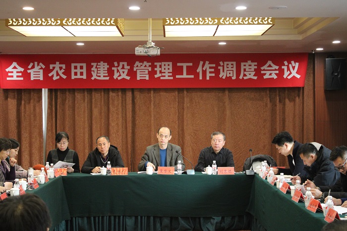 赌网