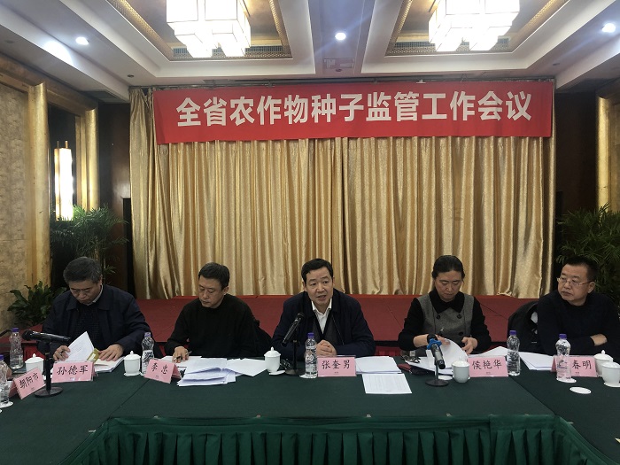 赌网