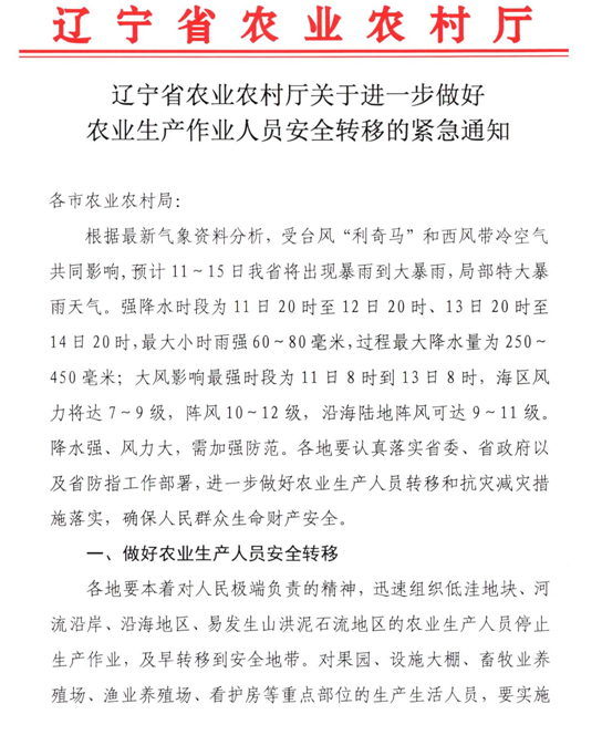 赌网