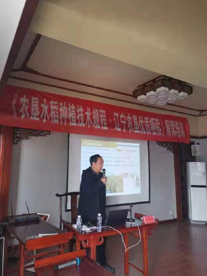 赌网