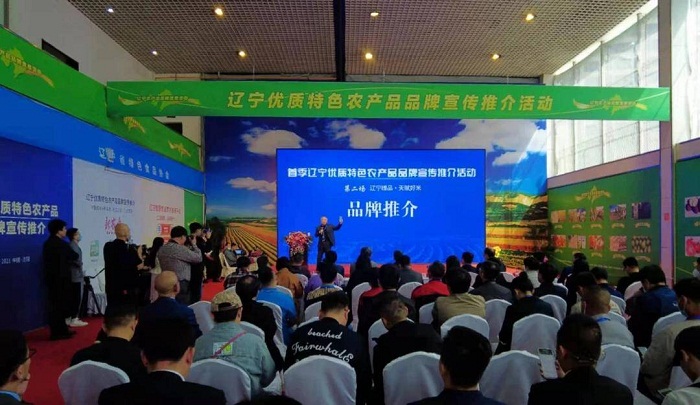 赌网