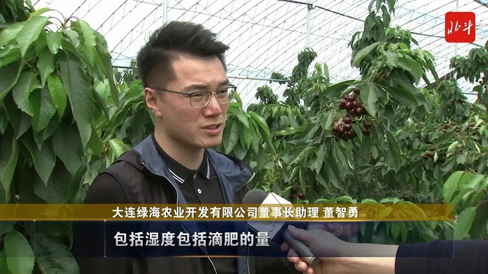 赌网