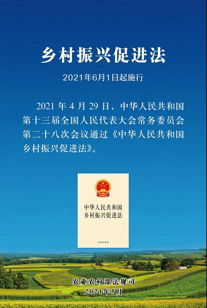 赌网