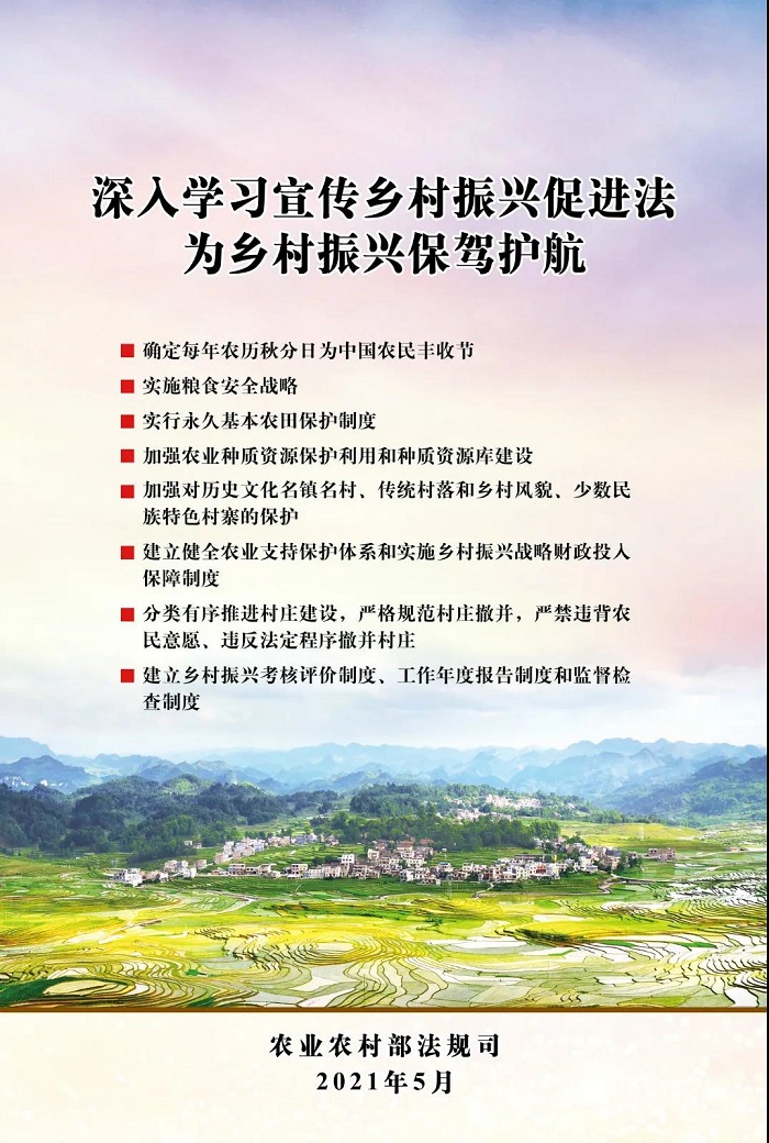 赌网