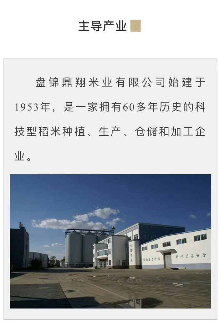 赌网