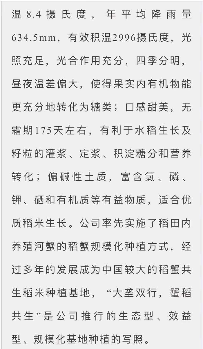 赌网