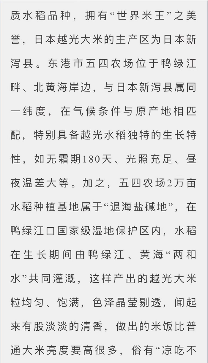 赌网