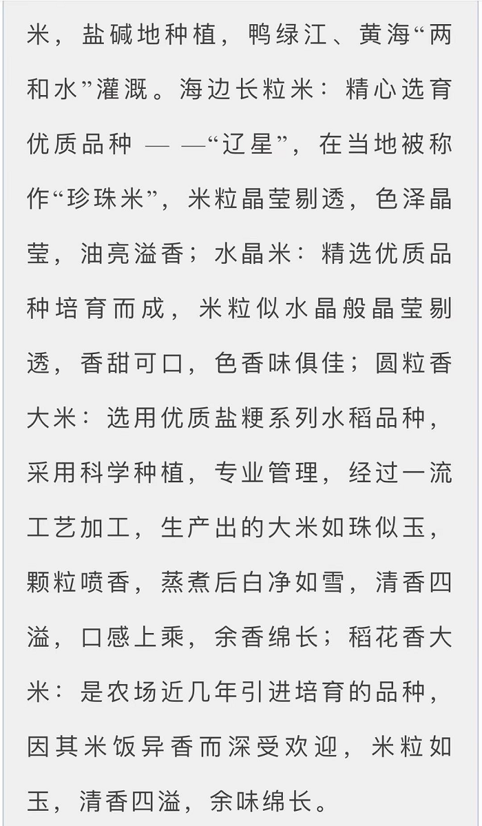 赌网