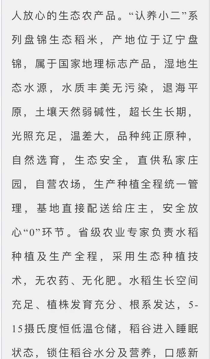 赌网