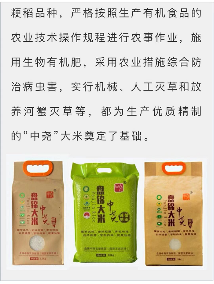 赌网