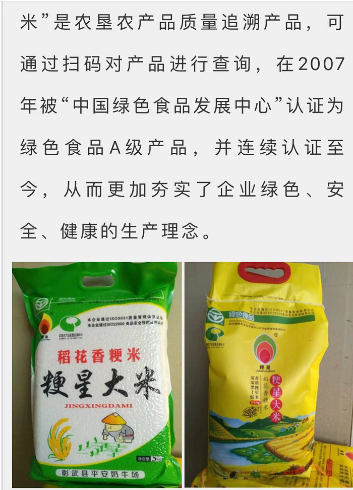赌网