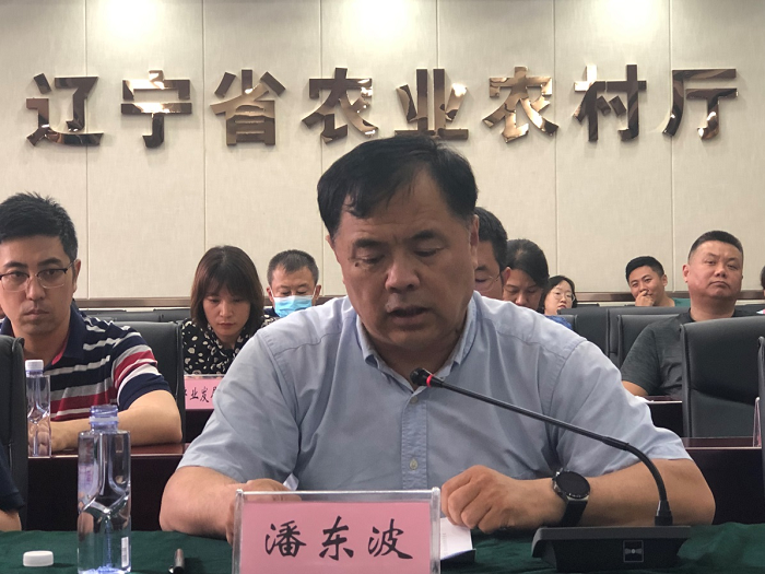 赌网