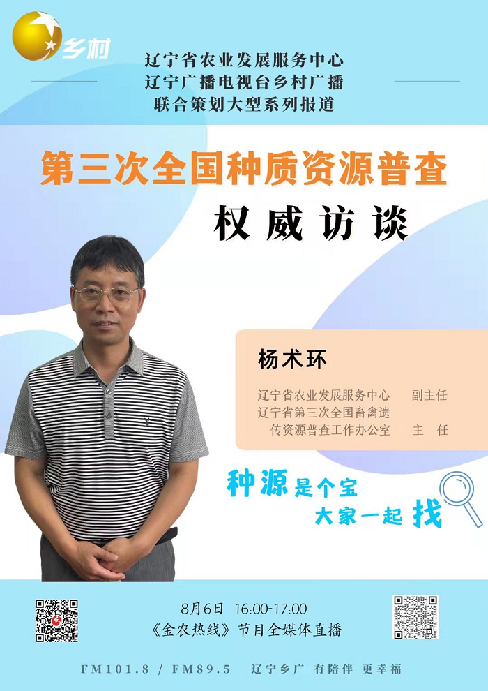 赌网