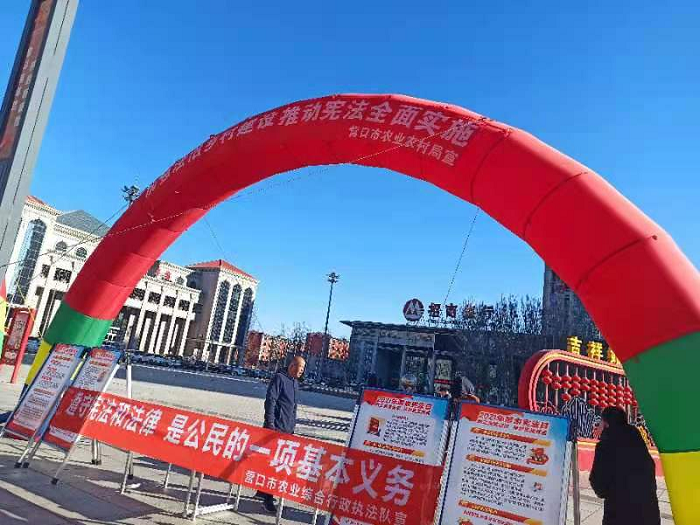 赌网