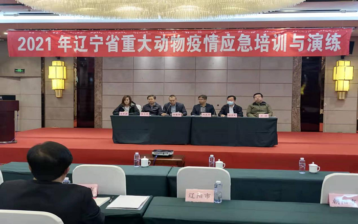 赌网