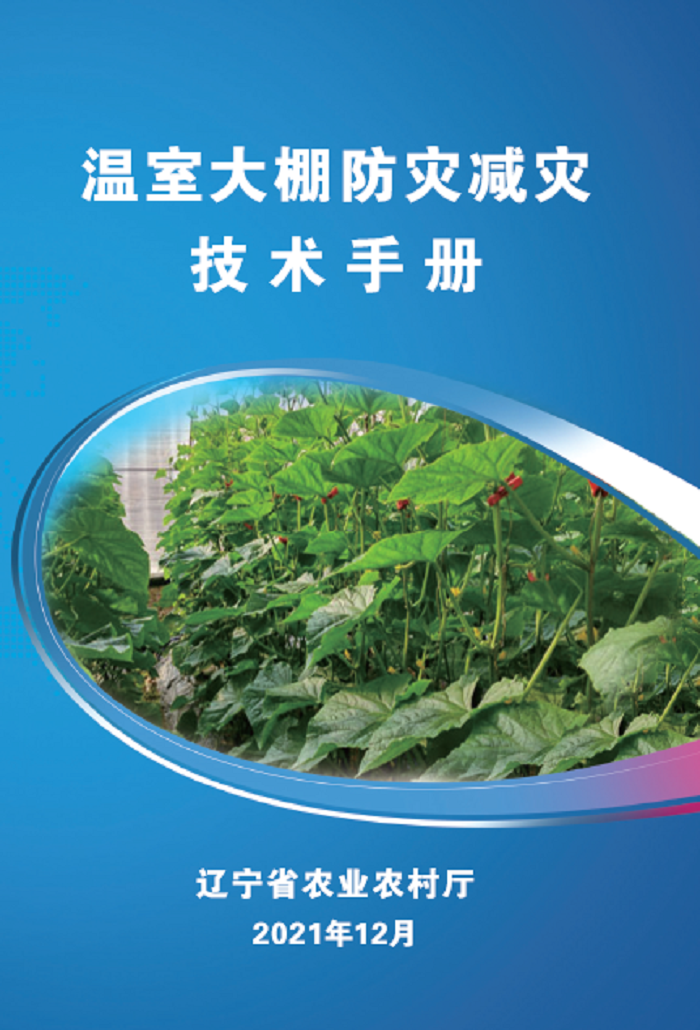 赌网