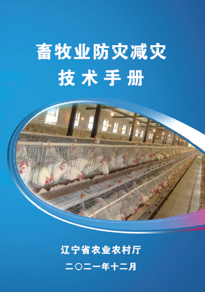 赌网