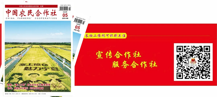赌网