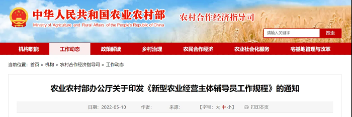 赌网