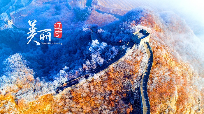 赌网
