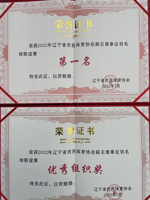 赌网