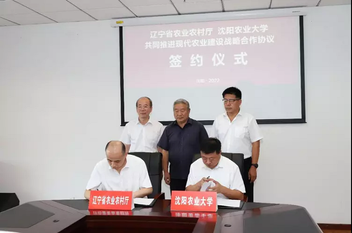 赌网