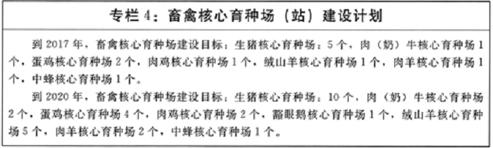 赌网