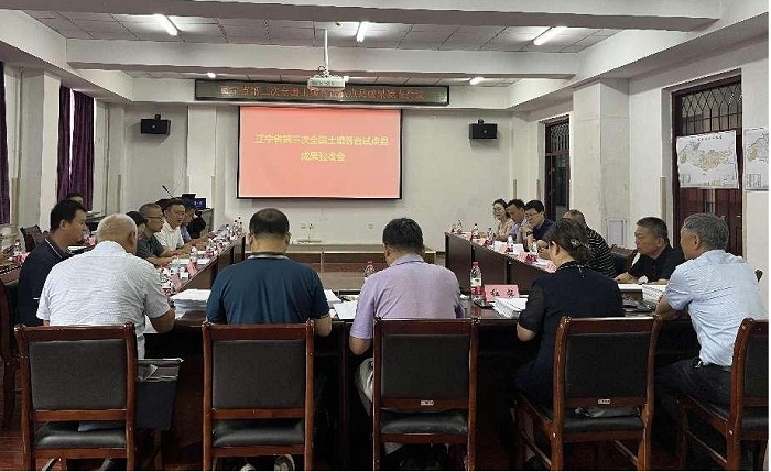 赌网
