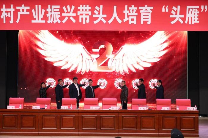 赌网