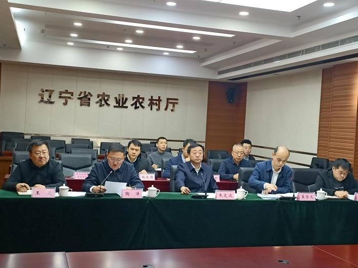 赌网