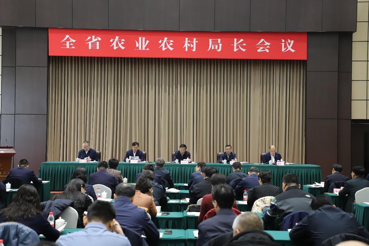 赌网