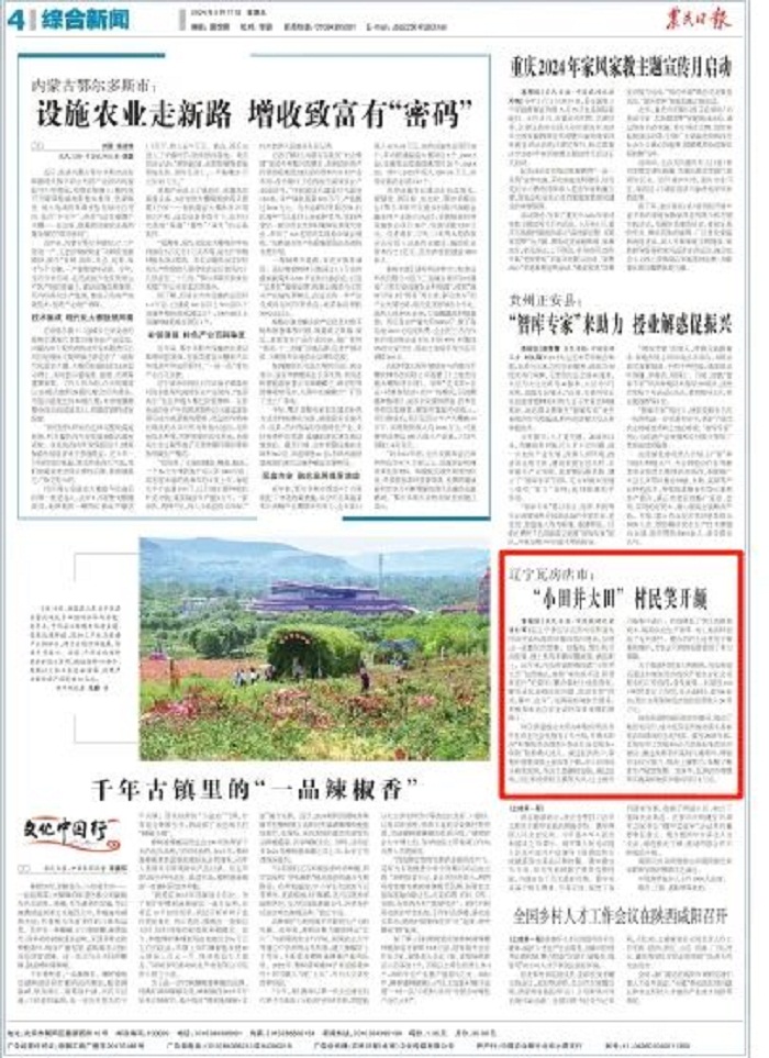 赌网