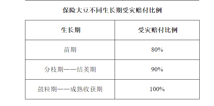 赌网