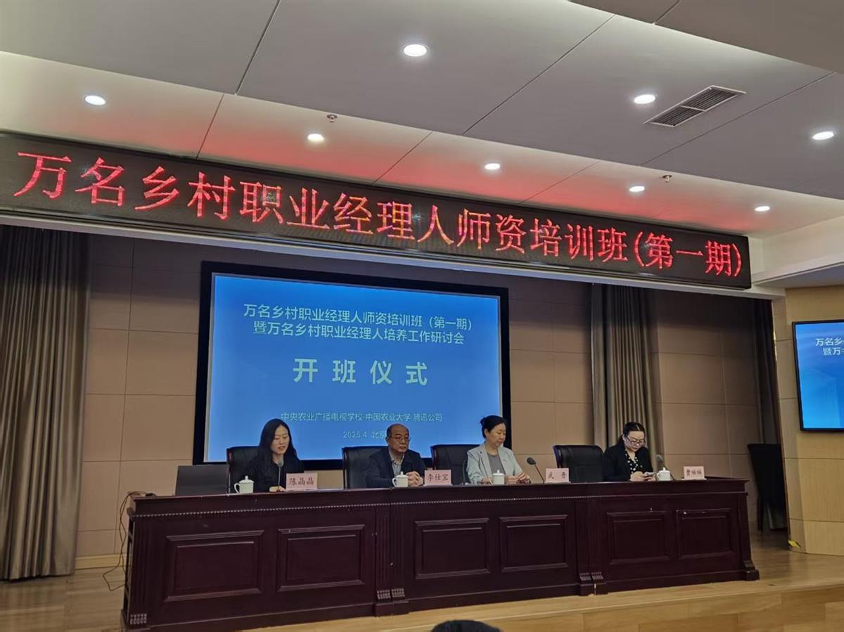 赌网