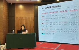 赌网