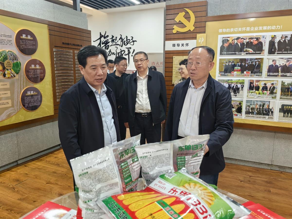 赌网