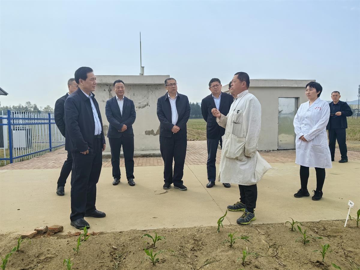 赌网