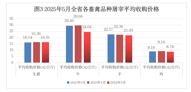 赌网