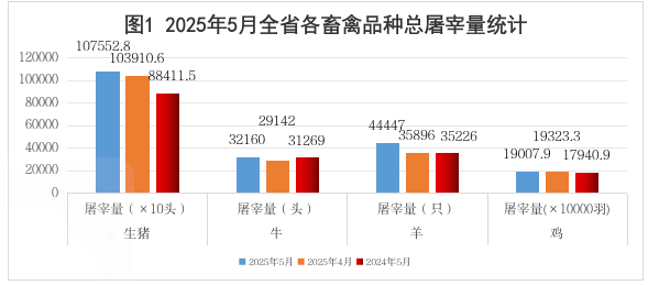 赌网